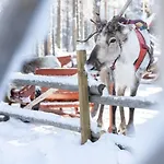 Arctic Circle Close To Santa's Village 度假居 *