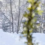 Arctic Circle Close To Santa's Village 罗瓦涅米