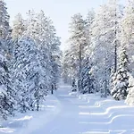 Arctic Circle Close To Santa's Village 罗瓦涅米