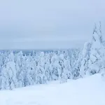 度假居 Arctic Circle Close To Santa's Village 罗瓦涅米