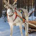 度假居 Arctic Circle Close To Santa's Village *