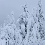 Arctic Circle Close To Santa's Village 罗瓦涅米