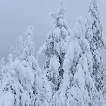 Loma-asunnot Arctic Circle Close To Santa's Village *