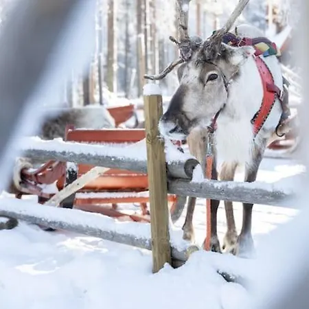 Arctic Circle Close To Santa's Village Vakantiehuis *