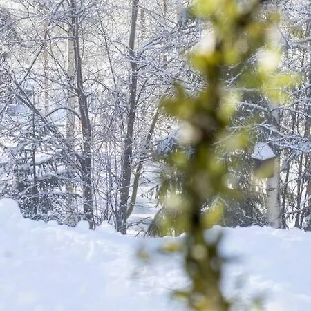 Arctic Circle Close To Santa's Village 罗瓦涅米