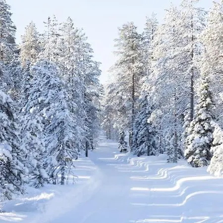Arctic Circle Close To Santa's Village Rovaniemi