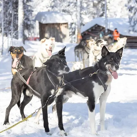 Vakantiehuis Arctic Circle Close To Santa's Village *
