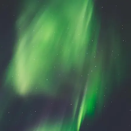 Arctic Circle Close To Santa's Village *