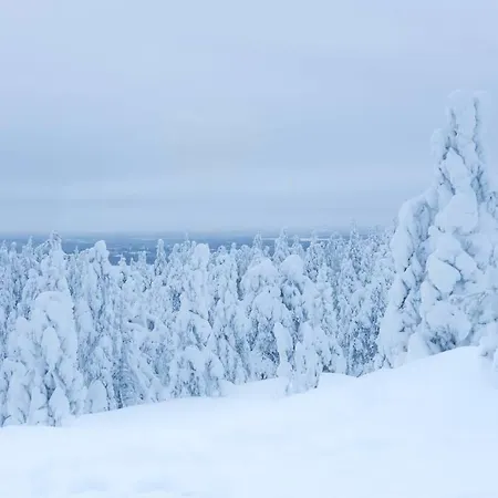 度假居 Arctic Circle Close To Santa's Village 罗瓦涅米