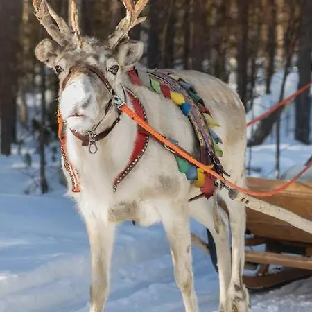 Tatil Evi Arctic Circle Close To Santa's Village *