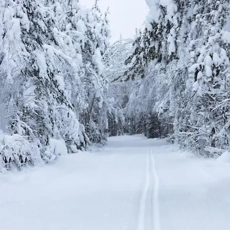 Arctic Circle Close To Santa's Village Vakantiehuis *
