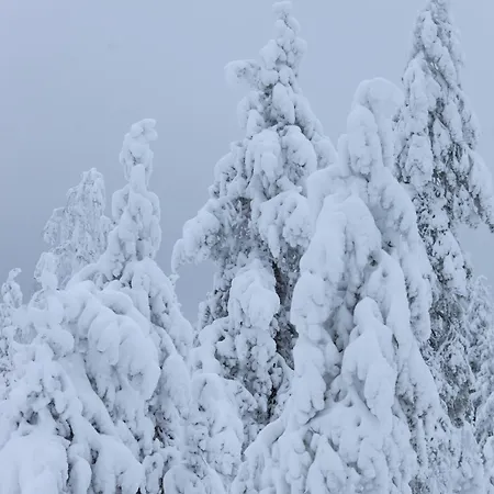 度假居 Arctic Circle Close To Santa's Village *