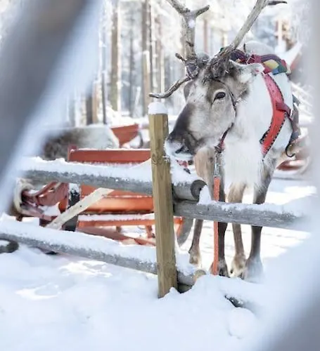 Arctic Circle Close To Santa's Village Casa de Férias *