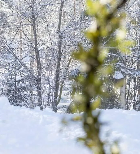 Arctic Circle Close To Santa's Village Rovaniemi