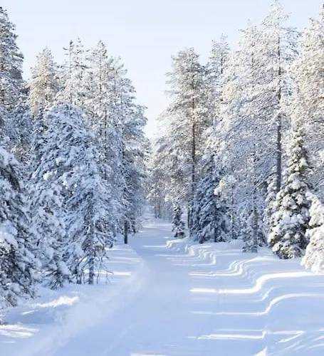 Arctic Circle Close To Santa's Village Rovaniemi