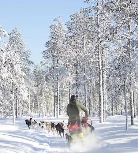 Arctic Circle Close To Santa's Village Casa de Férias