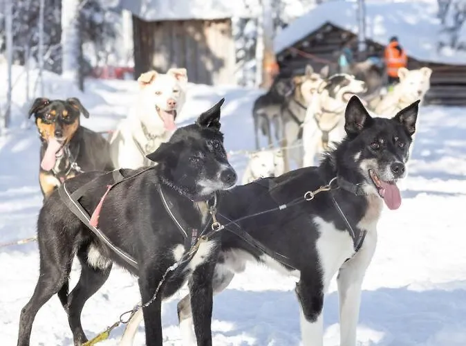 Hébergement de vacances Arctic Circle Close To Santa's Village *