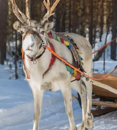 Hébergement de vacances Arctic Circle Close To Santa's Village *