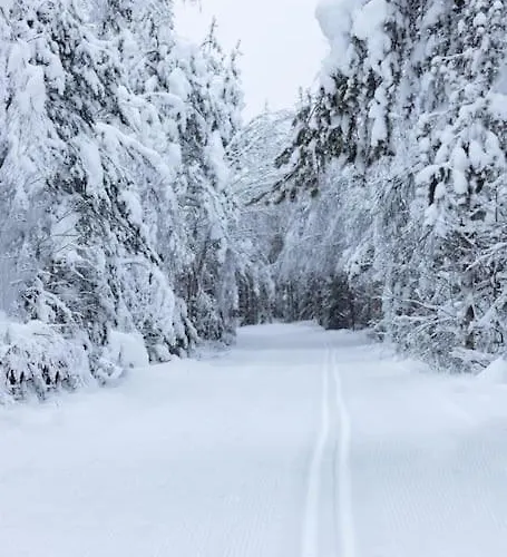 Arctic Circle Close To Santa's Village Hébergement de vacances *