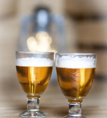 Hébergement de vacances Arctic Circle Close To Santa's Village Rovaniemi