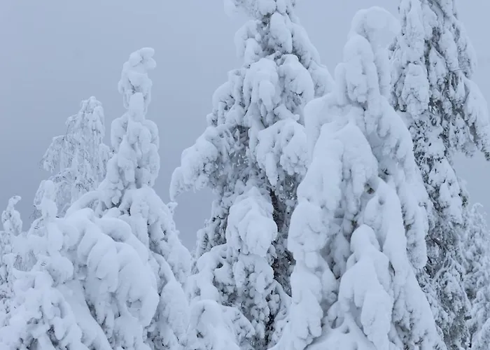 Hébergement de vacances Arctic Circle Close To Santa's Village *